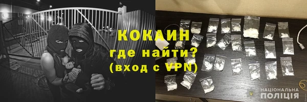 ешки Алексин