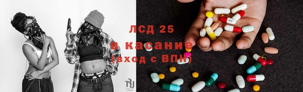ешки Алексин