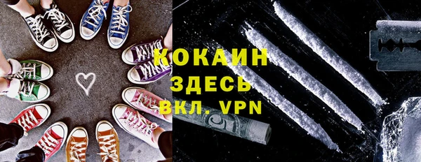 ешки Алексин