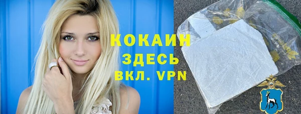 ешки Алексин