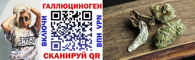 blacksprut tor  Урай  Псилоцибиновые грибы Psilocybe  наркота 
